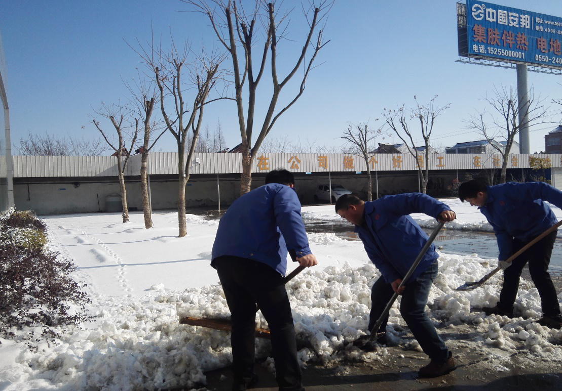 安邦電氣組織員工開展義務(wù)清雪活動(dòng)(圖2)